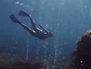 Dominica Scuba Diving Holiday - Caribbean.